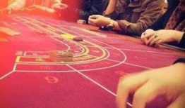 揭秘娱乐圈吃瓜,揭秘吃瓜群众的狂欢盛宴